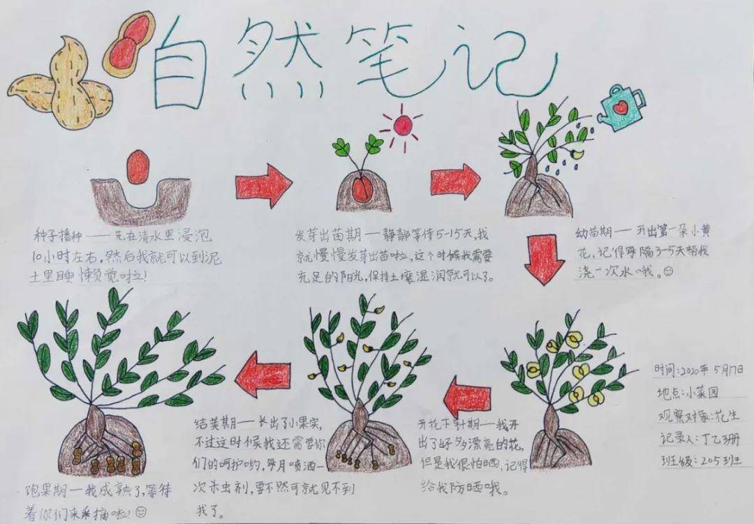 自然笔记我与自然的相遇第六波入围作品