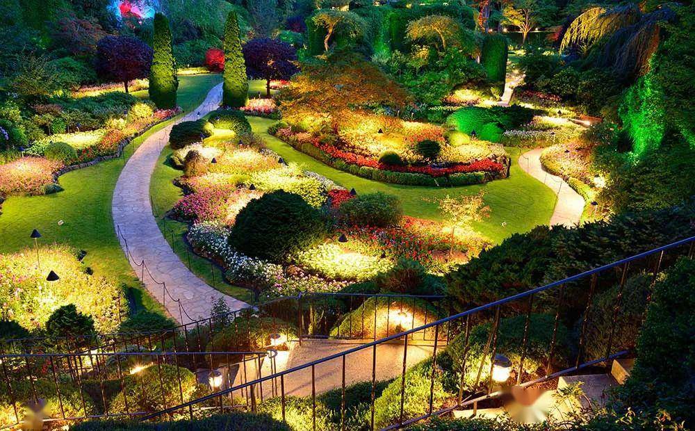 到了晚上灯光会点亮,非常梦幻.