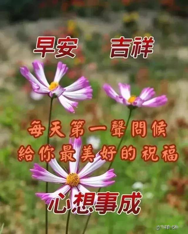 大家早上好祝福語加圖片朋友早晨問候語帶表情