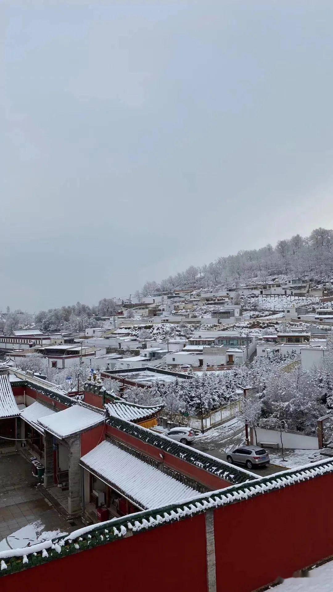塔尔寺冬天图片