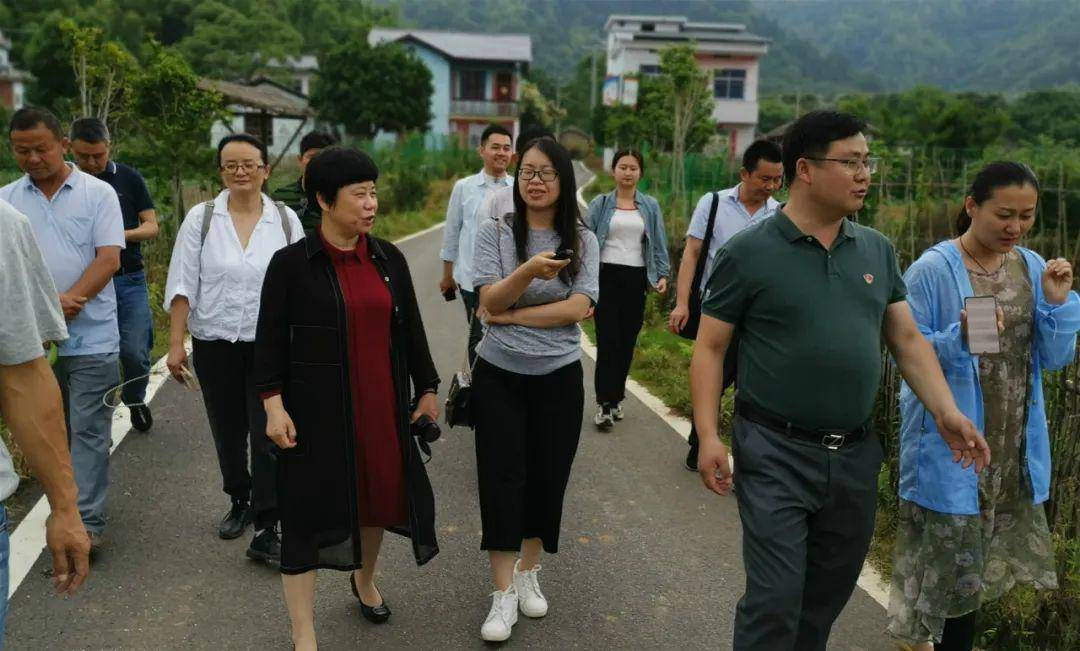 采风小组在彭泽县浩山乡海形村