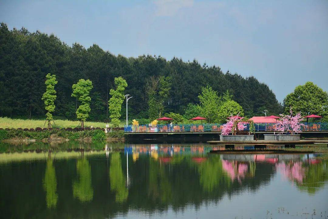 巴南区大来山风景区图片