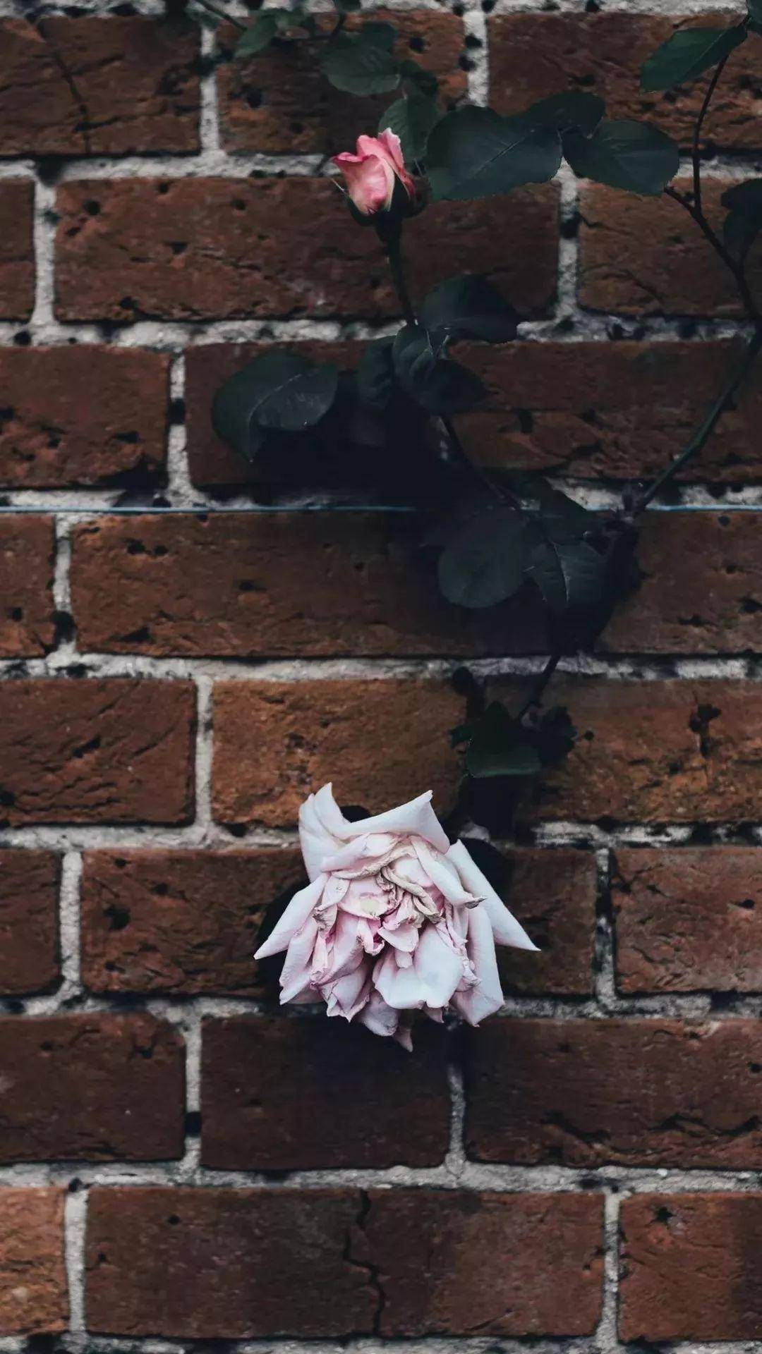 简约个性创意的微信聊天壁纸