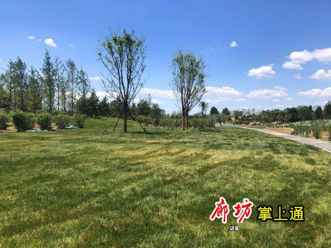 廊坊东部门户,美爆了!实拍建设中的朝阳森林公园