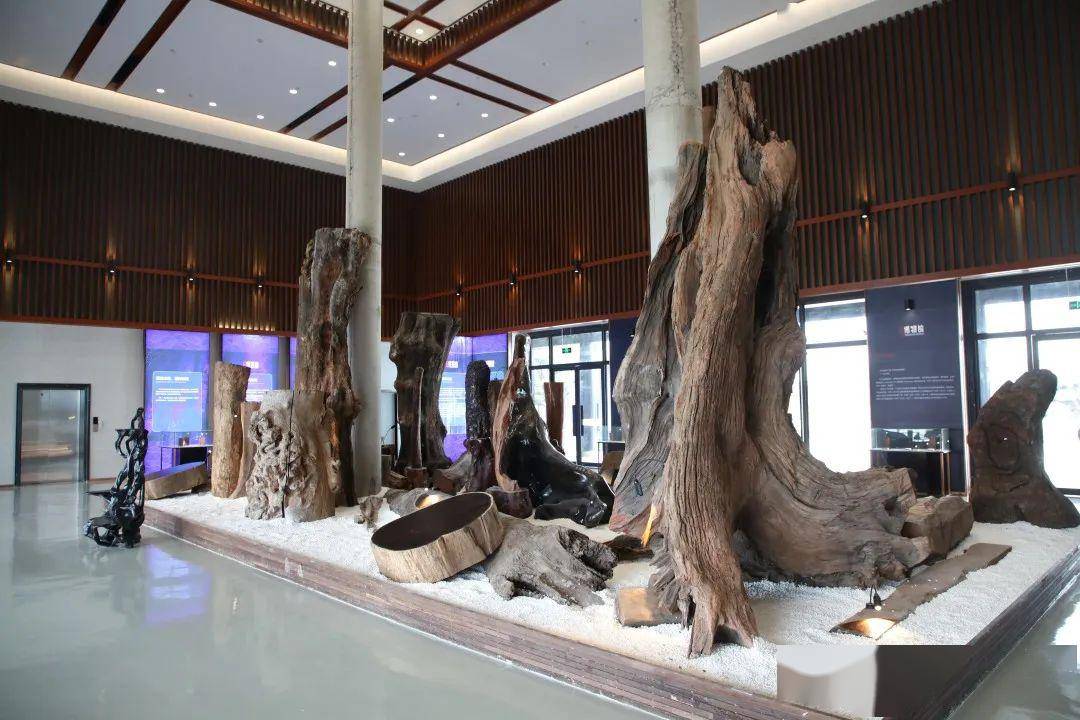 龙游博物馆自然厅图片