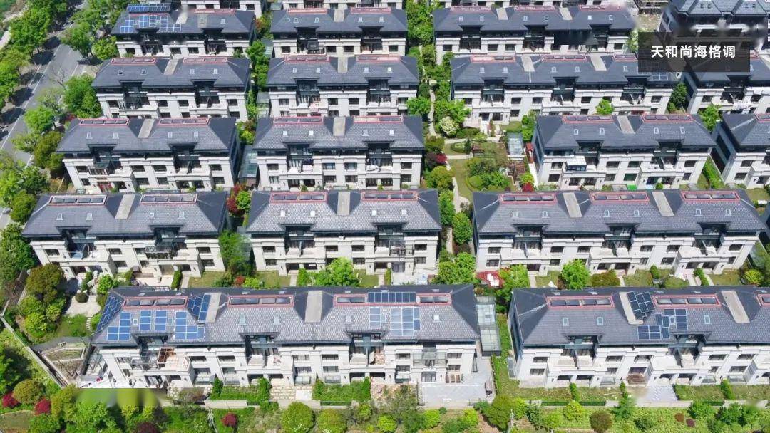 东方美谷小镇——金汇镇投资环境简介作城市推介并讲话镇党委书记郑