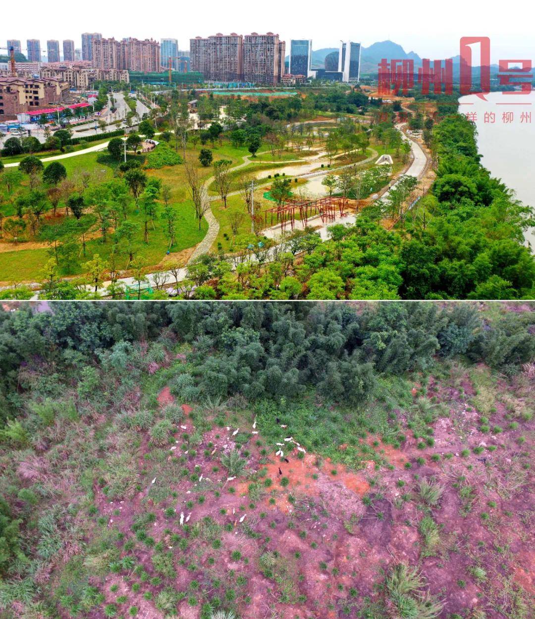官塘滨江生态湿地公园图片
