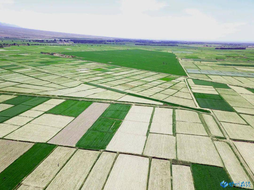 甘肃张掖初夏时节航拍甘州农田格子星罗棋布