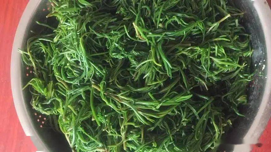 它的特点是碱性蔬菜无需放盐,就有天然的海苔味道.