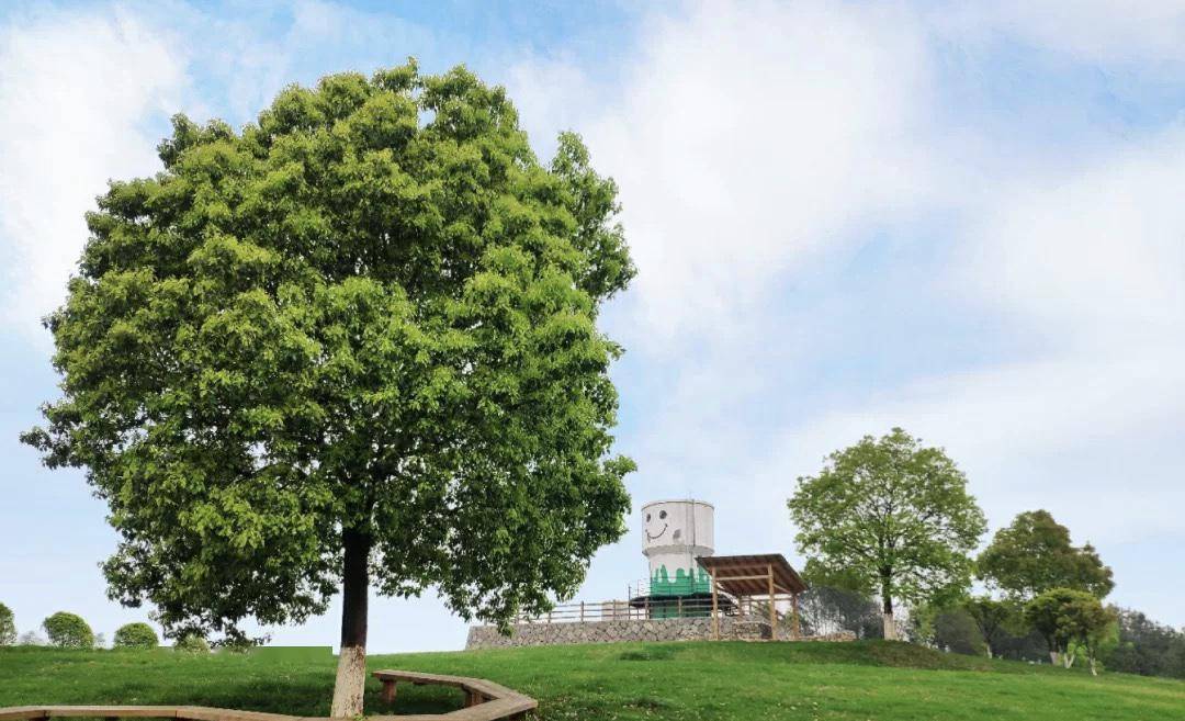 1元游九峰牧场!这个副镇长为了惠农助企也是拼了