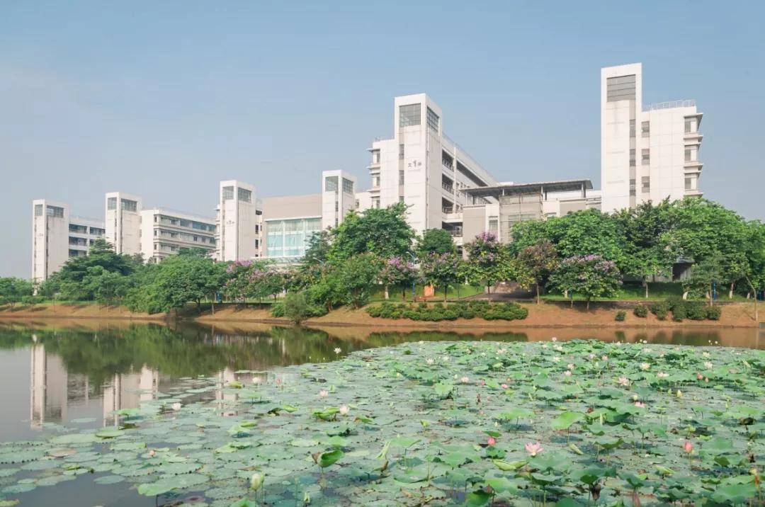 廣東醫科大學,惠州學院,廣東第二師範學院,廣東技術師範大學天河學院