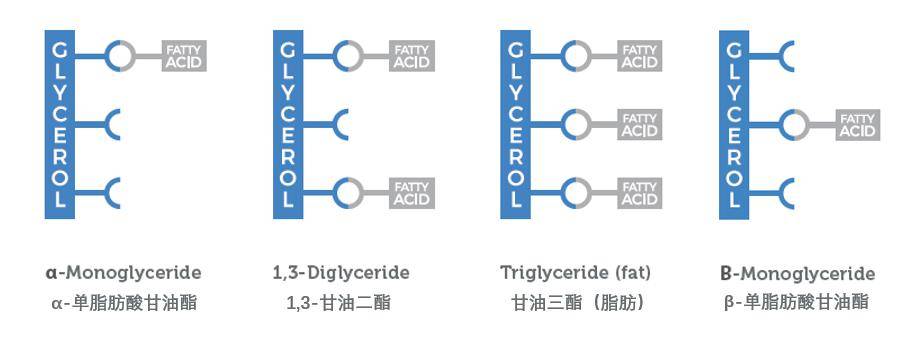 α-单脂肪酸甘油酯,甘油二酯和甘油三酯的分子结构的差异下图所示.