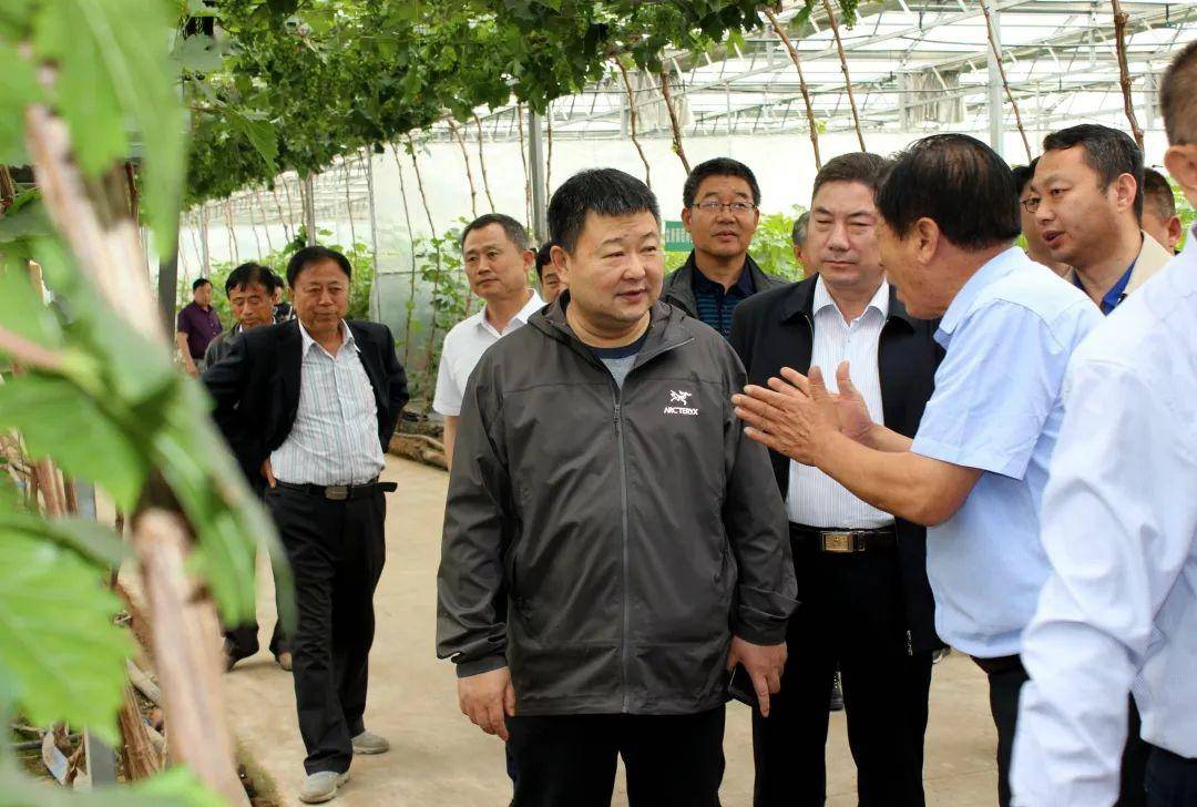 北大荒农垦集团哈尔滨有限公司党委书记,董事长陈玉林率领部分农场场