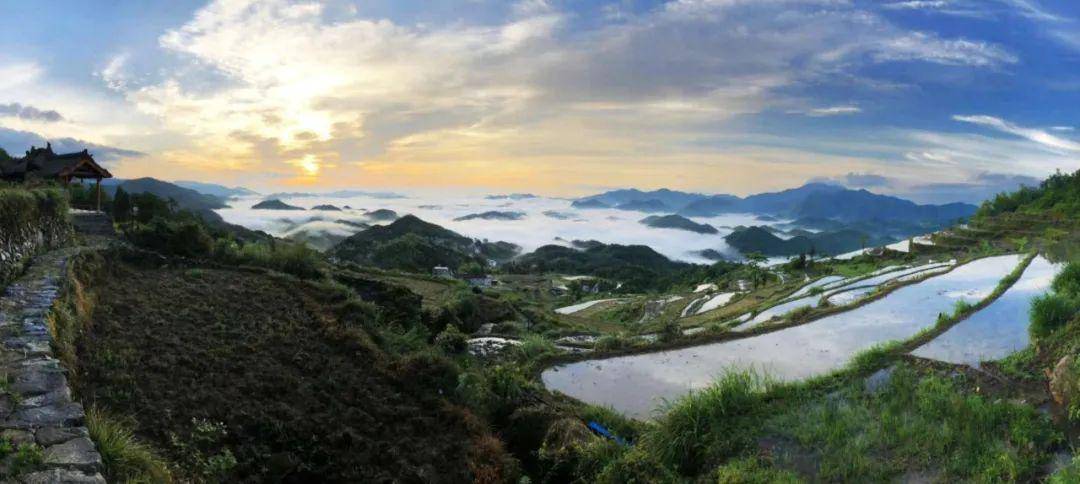 天台泳溪北山梯田又成了网红摄影地!