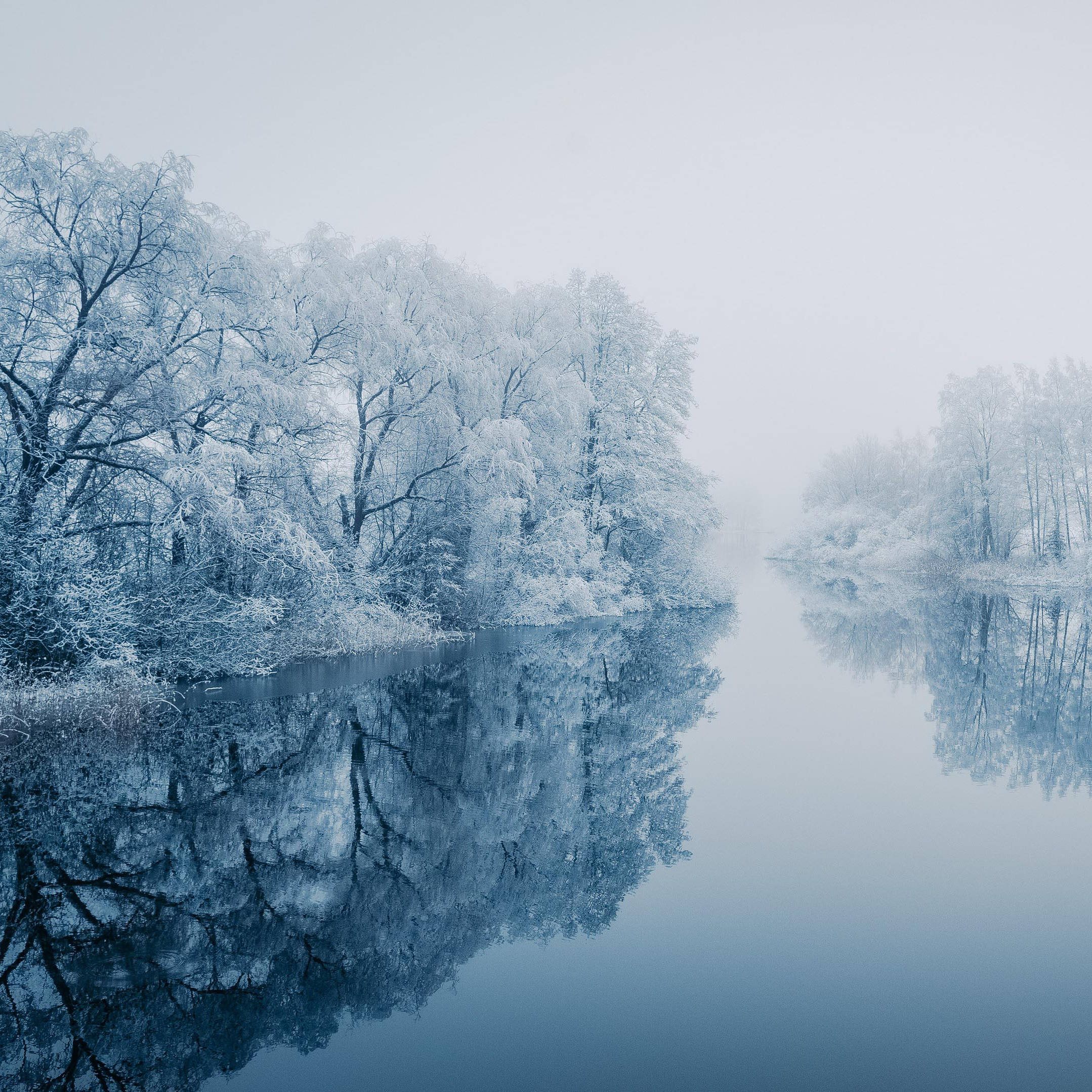 践行雷锋精神 扛起时代担当_档案_工作_服务