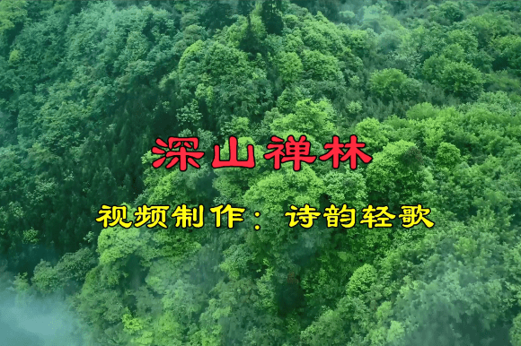 古筝曲深山禅林的乐谱图片