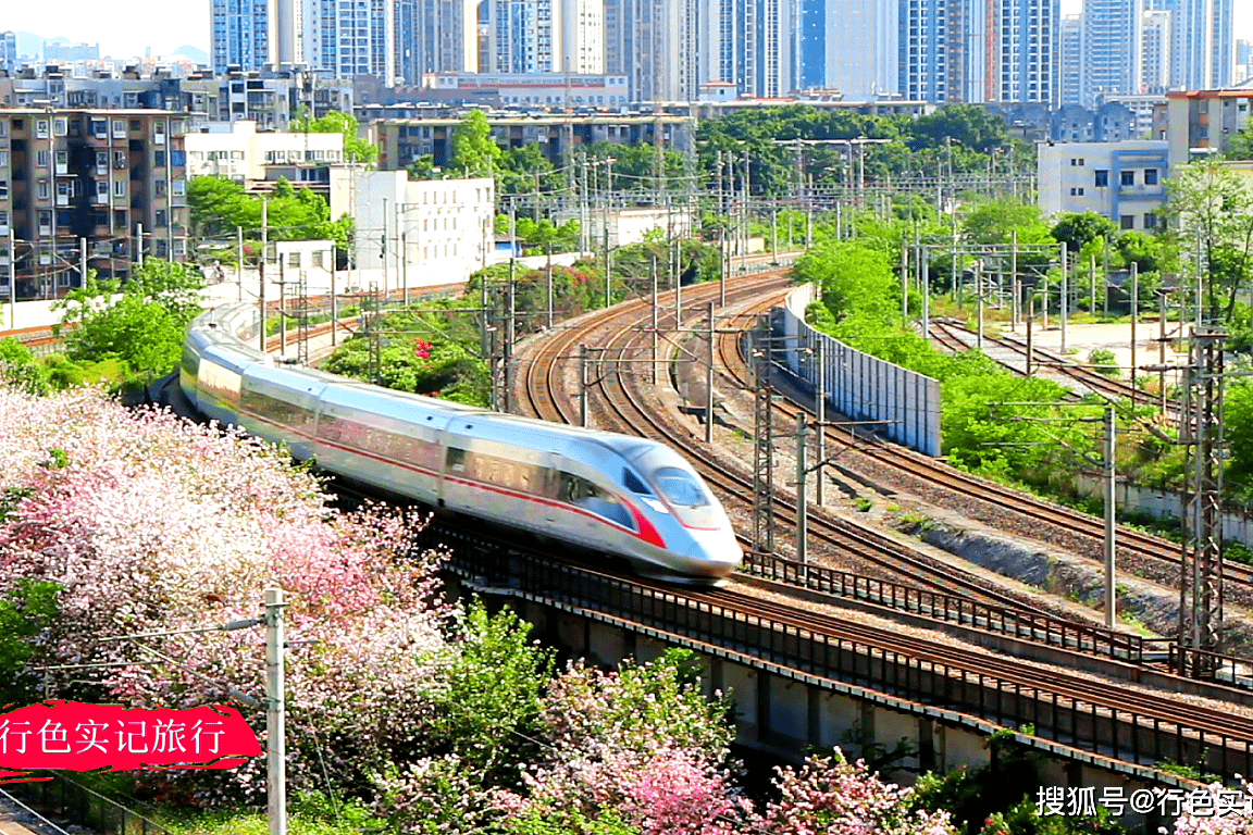 在柳州广雅大桥近距离实拍各种高铁动车穿梭紫荆花下太壮观了