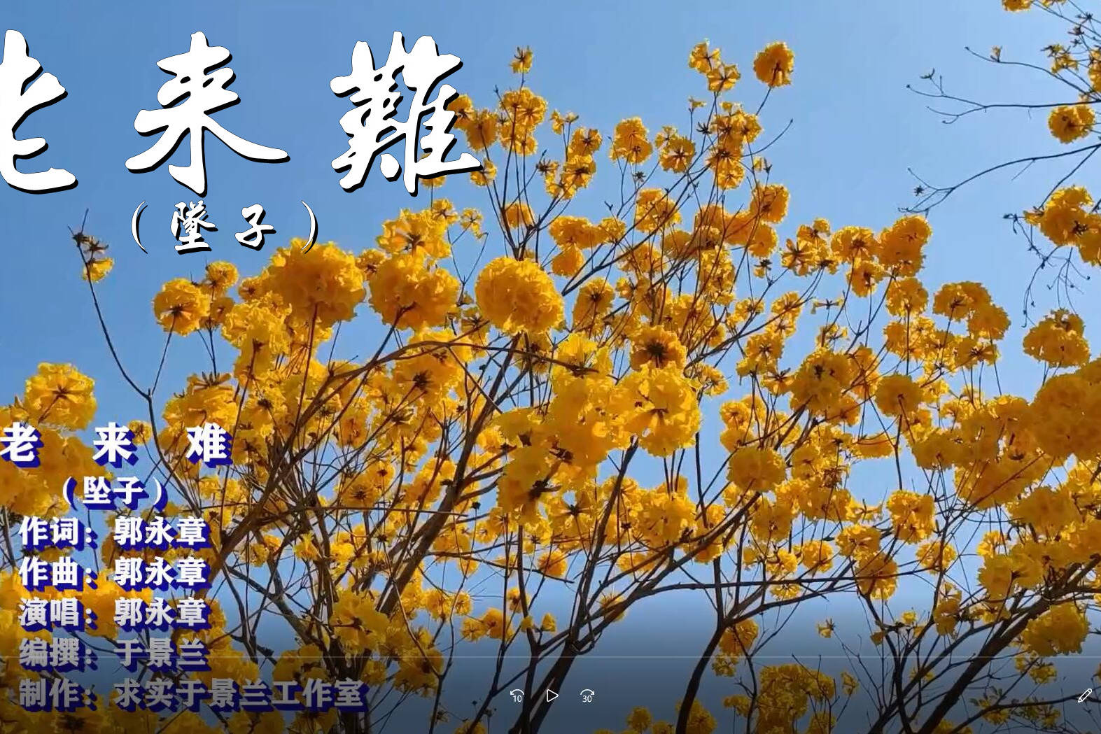 民间坠子大师郭永章的老来难句句大实话耐人回味