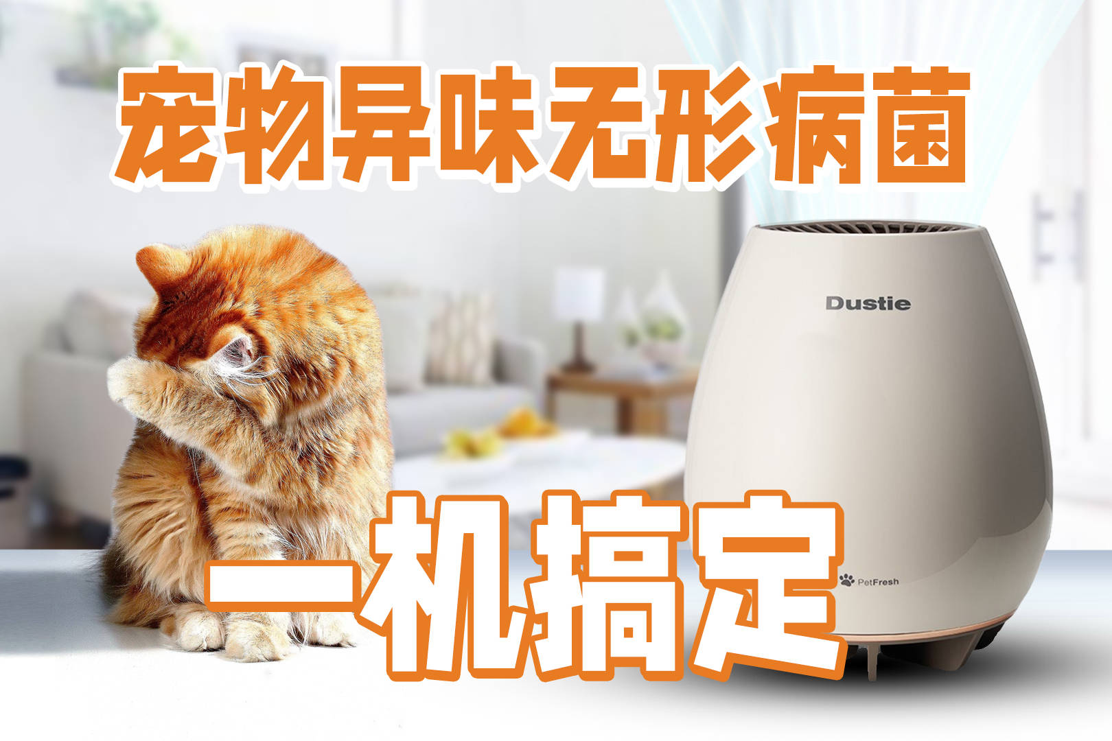 宠物异味满屋毛发如何解决一机搞定宠物家庭空气净化问题