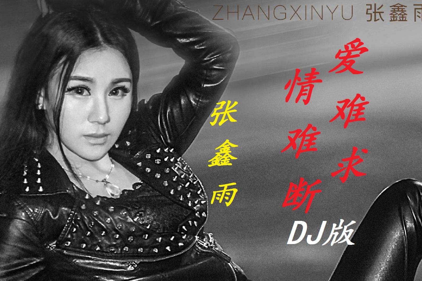 张鑫雨爱难求情难断dj版动感十足节奏欢快非常好听
