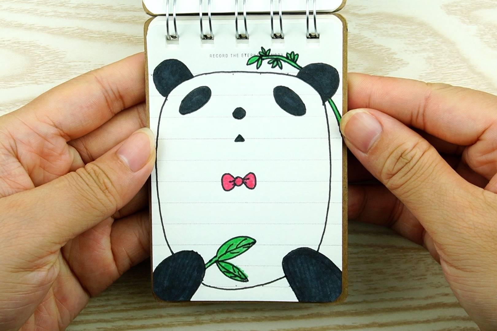 儿童手绘迷你便签本图画,可爱的大熊猫和绿色竹子图案