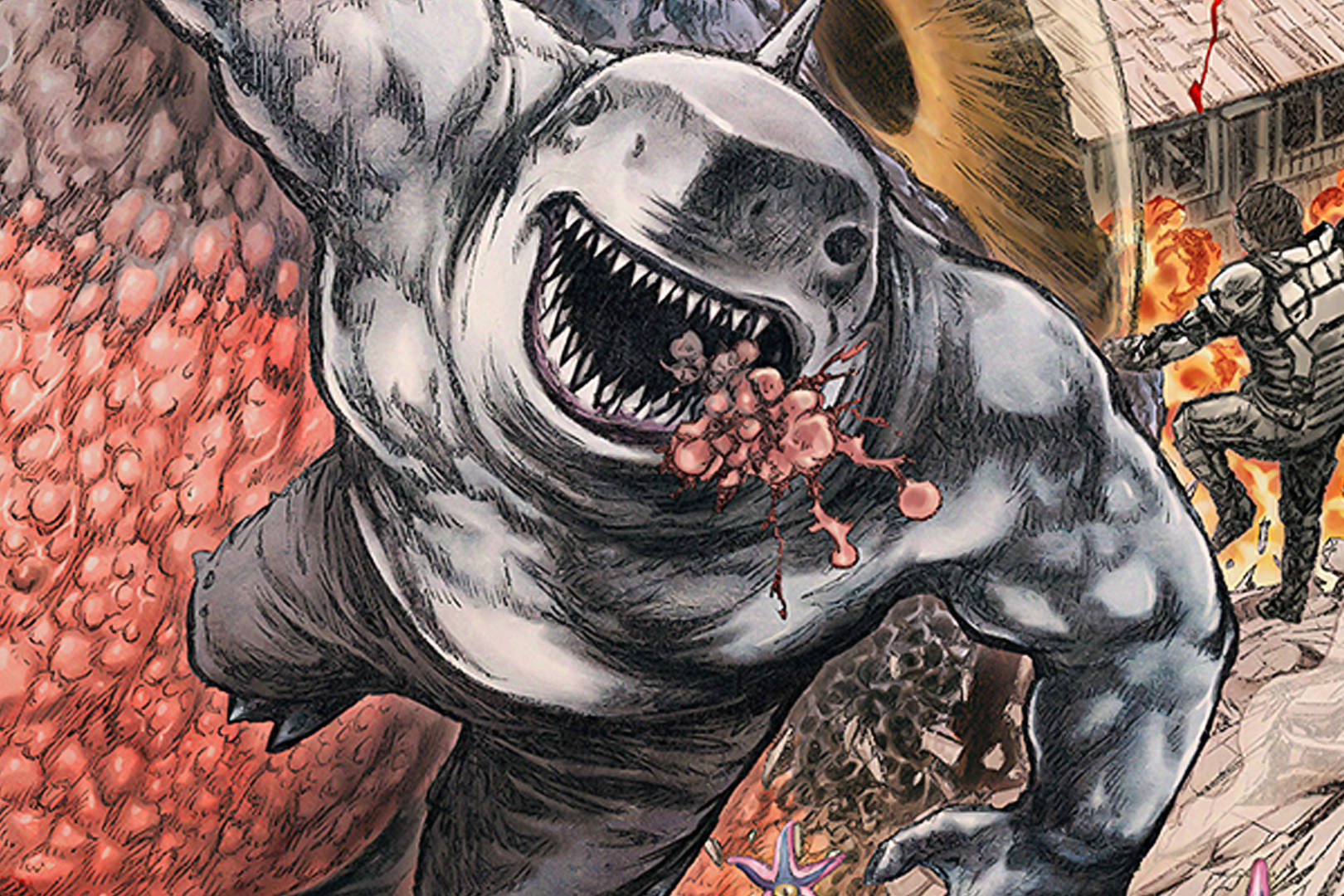 鲨鱼王玩嗨了交到了一群新的傻朋友不料结果被咬惨了