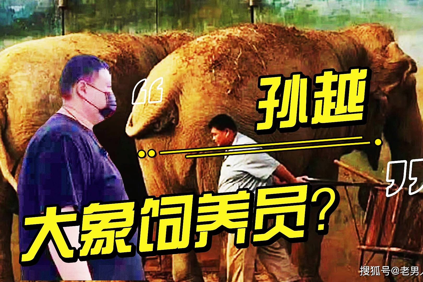 一个滚烫的冷知识孙越投身相声界之前曾是大象饲养员