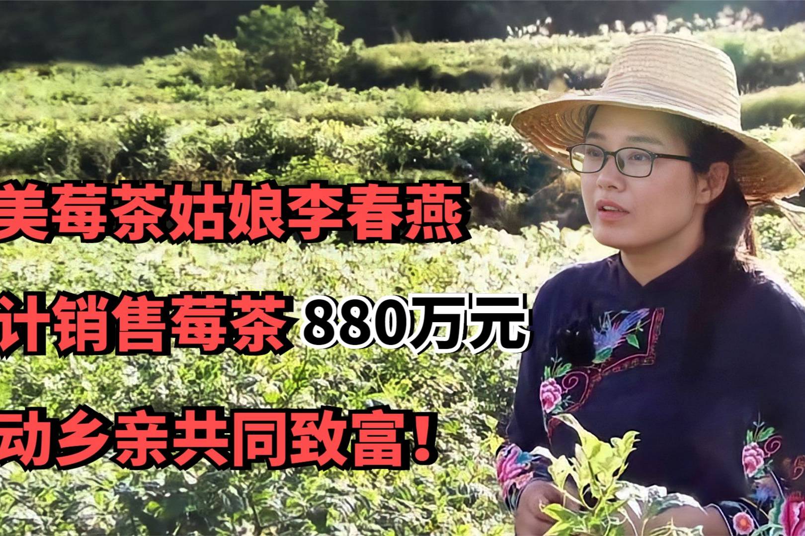 最美莓茶姑娘李春燕累计销售莓茶880万元带动乡亲共同致富