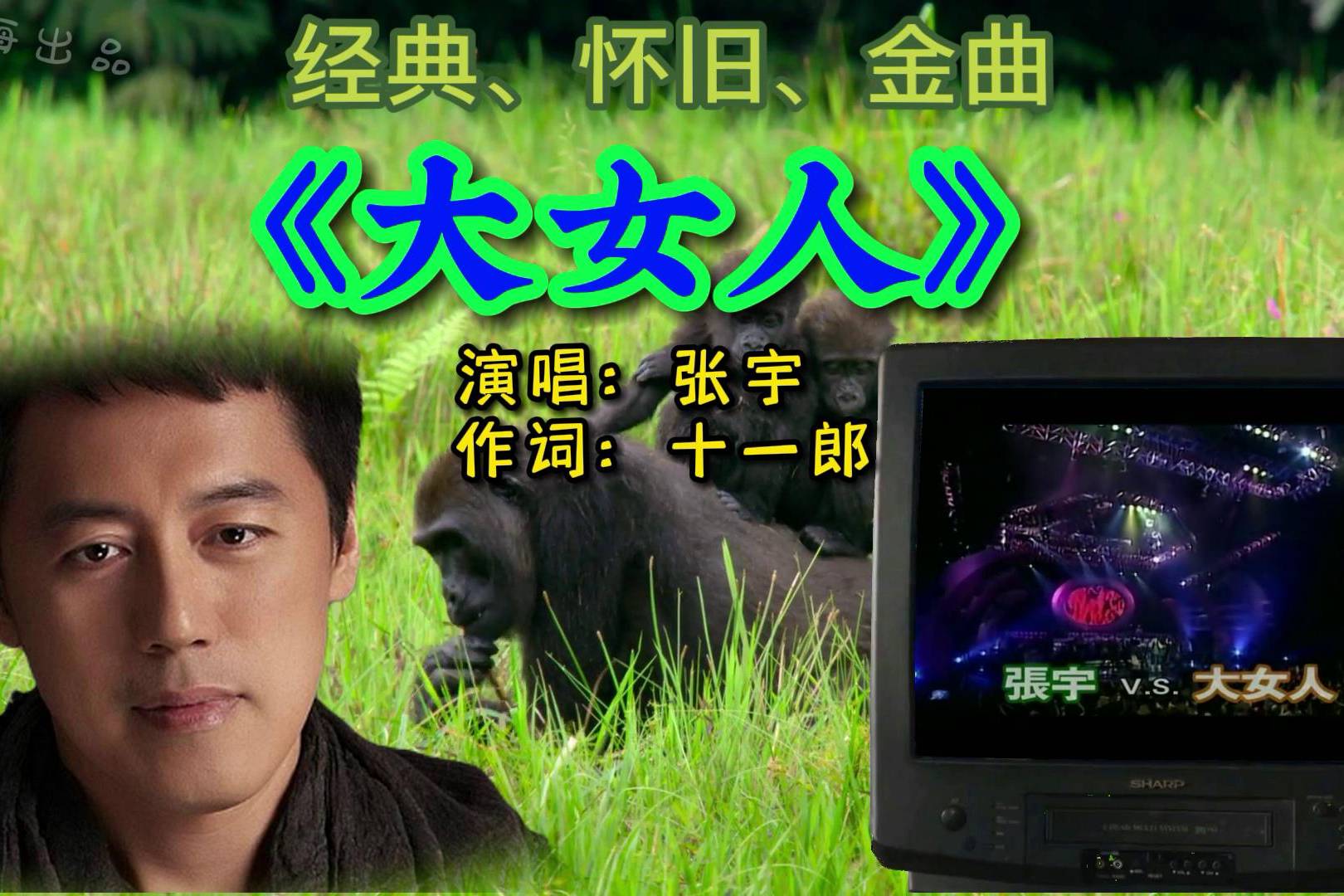 经典怀旧金曲张宇的大女人