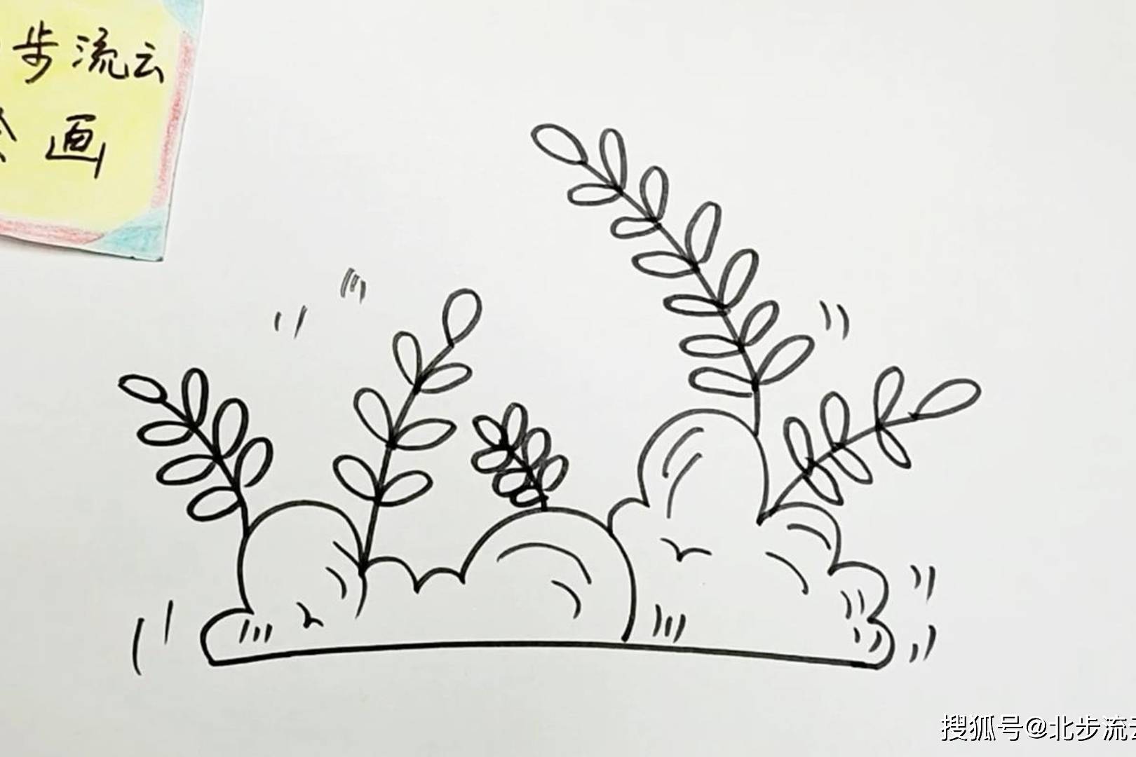 茂密的花丛简笔画过程图片