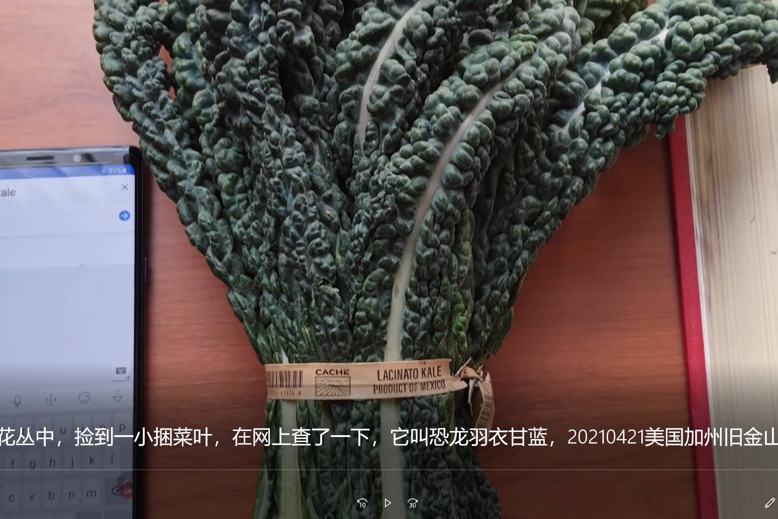 在路边的花丛中捡到一捆菜叶在网上查了一下它叫恐龙羽衣甘蓝