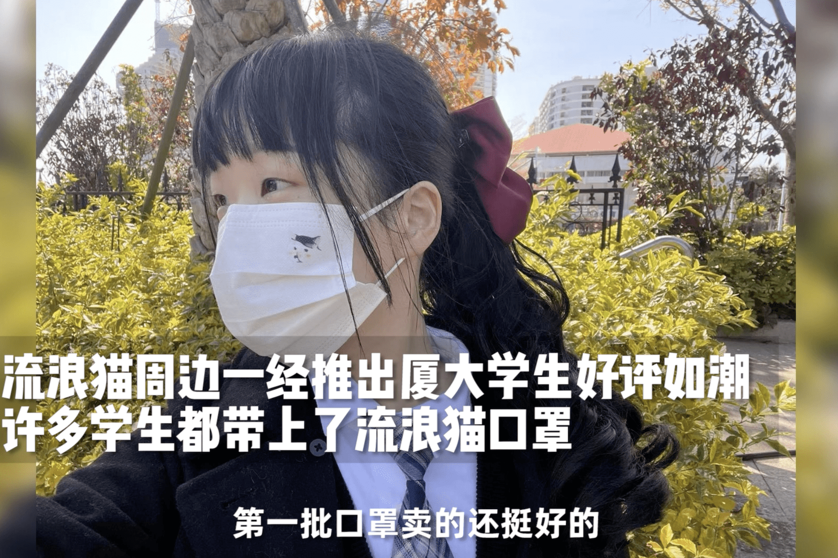 暖心:厦大学生做流浪猫创意周边 收入全用来给流浪猫做绝育