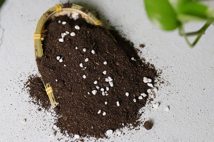 养花的土如何杀菌 家庭养花最简单的土壤杀菌方法 养花必学 花友会 消毒 花坛