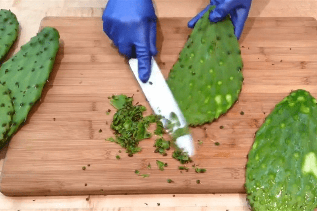 仙人掌真的能吃吗男子切开尝了一口突然发现了新天地