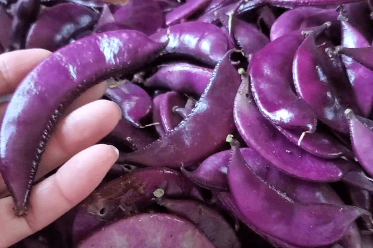 眉豆不要炒着吃了试试这种新吃法下酒下饭上桌给肉不换香