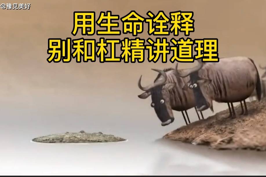 用生命诠释别和杠精讲道理