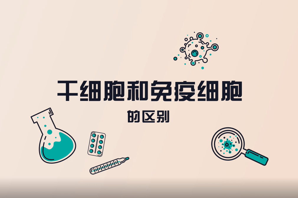 干细胞和免疫细胞区别之4x2