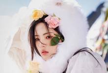 杨超越荒野玫瑰写真，每一张都是可以当壁纸的程度-沐风文化