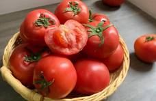 西红柿普遍但不普通，快来看看关于它的冷知识！