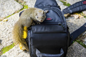 吸毒被抓这次是多名歌手