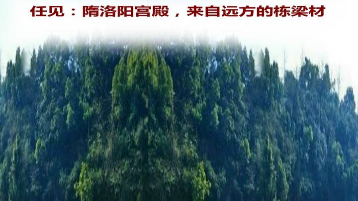 你想去隋洛阳宫殿看看吗？