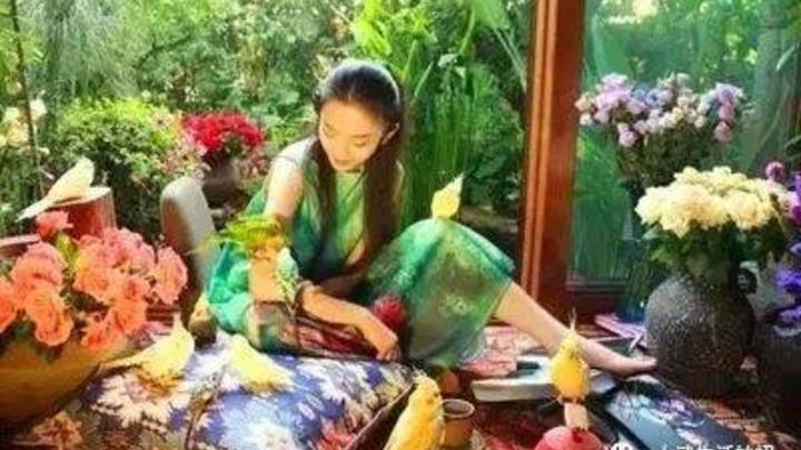 杨丽萍的月亮宫被查封，你怎么看？