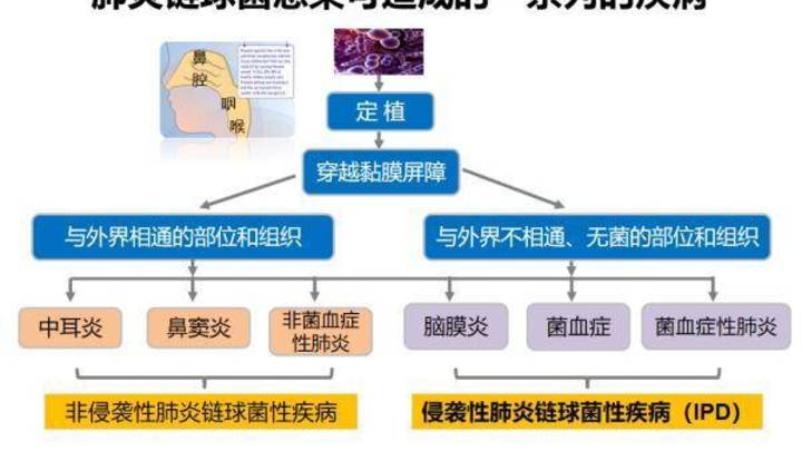 肺炎支原体高峰未过又出现混合感染你还会戴口罩吗
