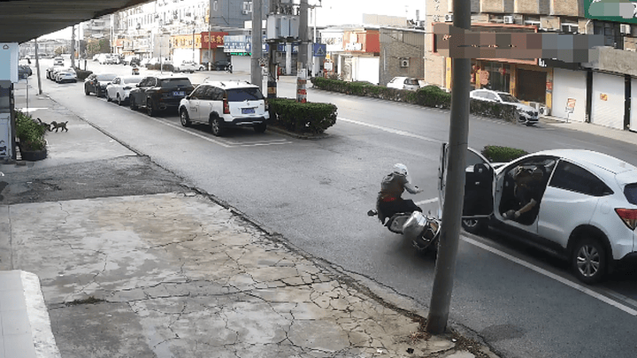 司机开门杀致骑车男子死亡，被判处有期徒刑九个月，合理吗？