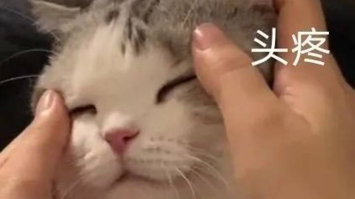 上海多家小超市擅用人脸识别防小偷，你怎么看？