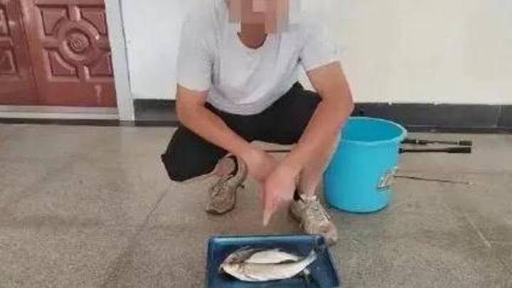 武汉男子钓3条鱼被刑拘，处罚过重吗？