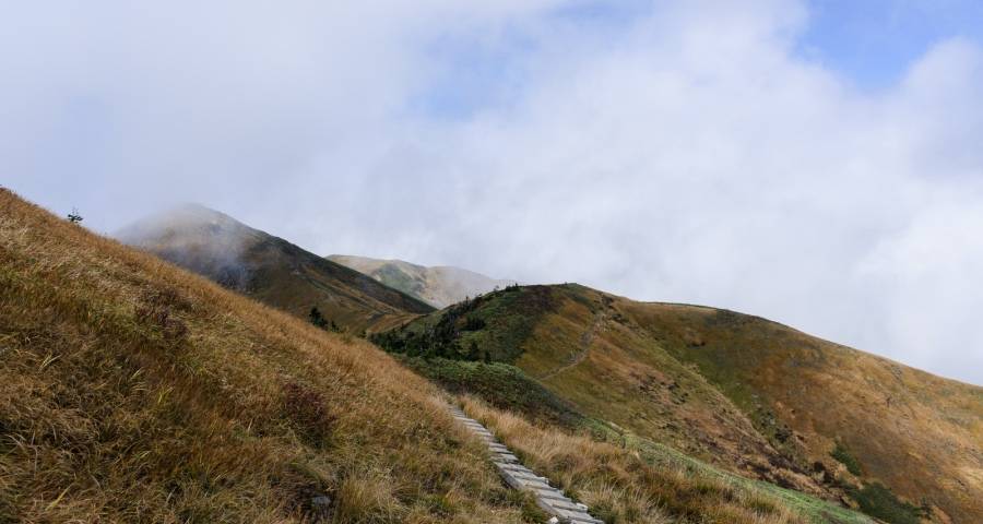市场走势正超出众家电厂商预期-家电圈官网