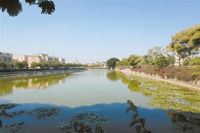 据悉,为推动乡村振兴,潮阳区筹措资金1800万元,以乡村振兴海门镇示范