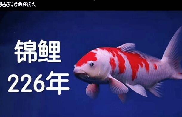 8c57cf897794468594abfcb1de4a129e.png