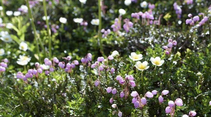 家电业营销得努力破圈,成套产品可当开路先锋!-家电圈官网